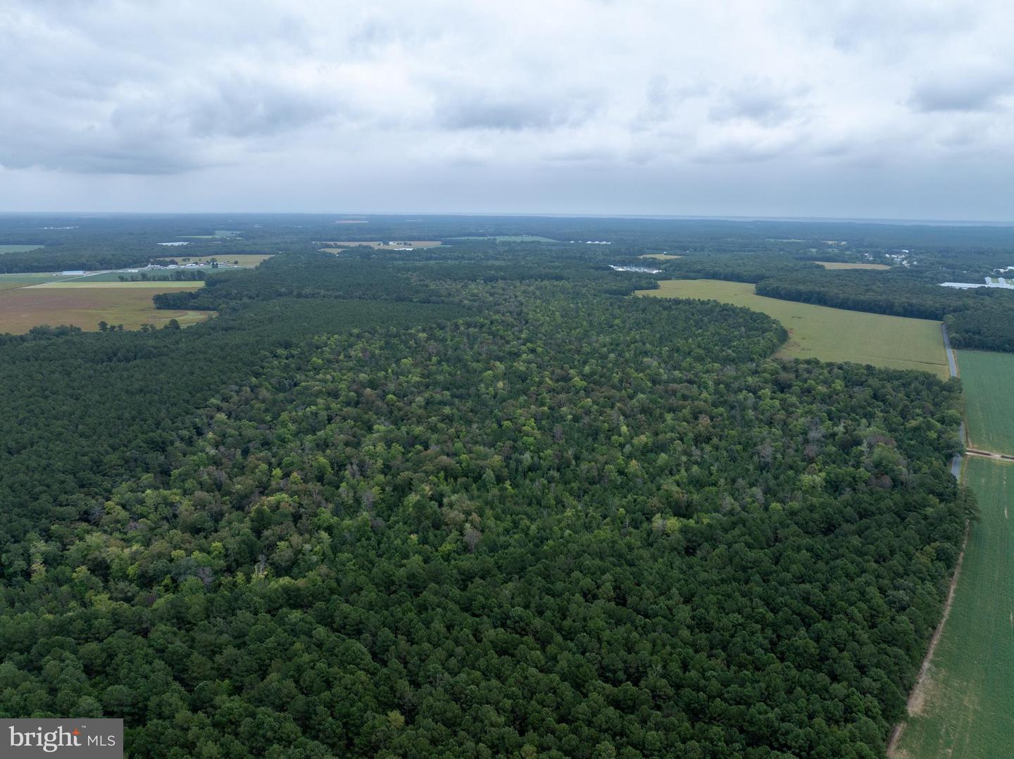 Slocom Farm Road Property Photo 18