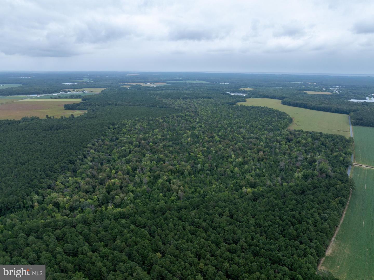 Slocom Farm Road Property Photo 19