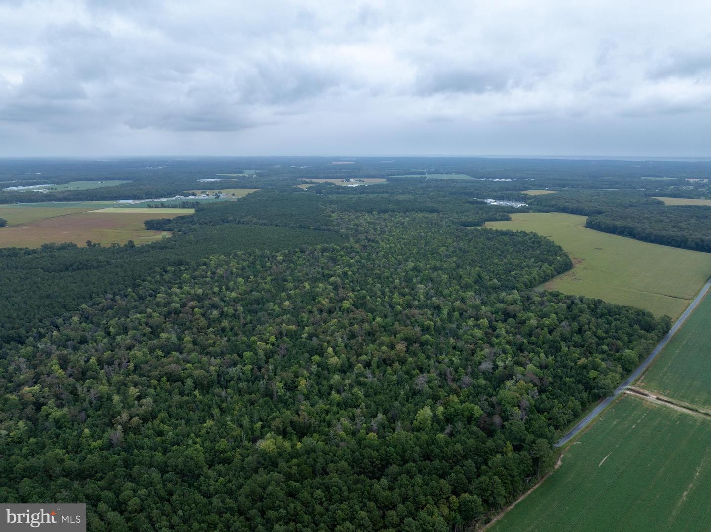 Slocom Farm Road Property Photo 20