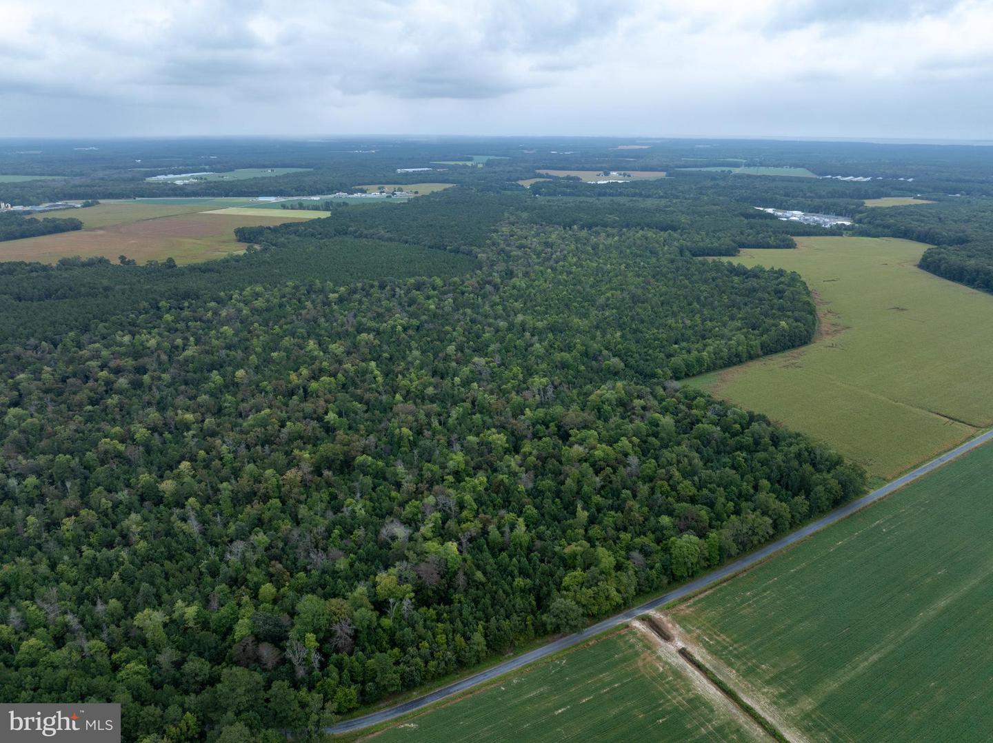 Slocom Farm Road Property Photo 22