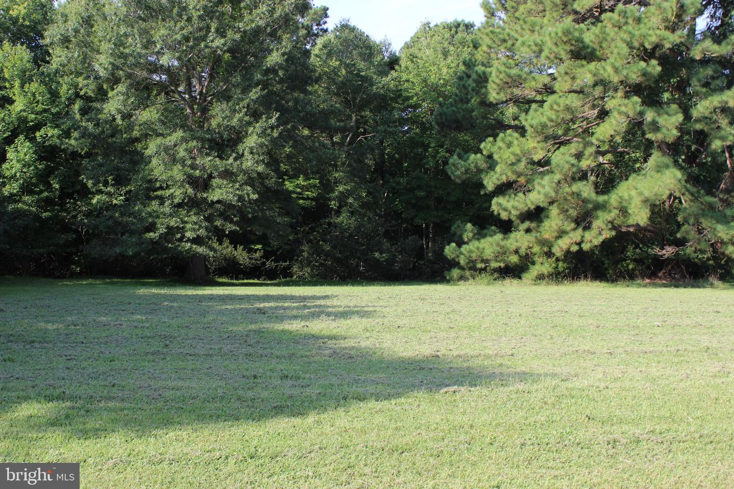 184 DAVEY JONES BLVD Property Photo 1