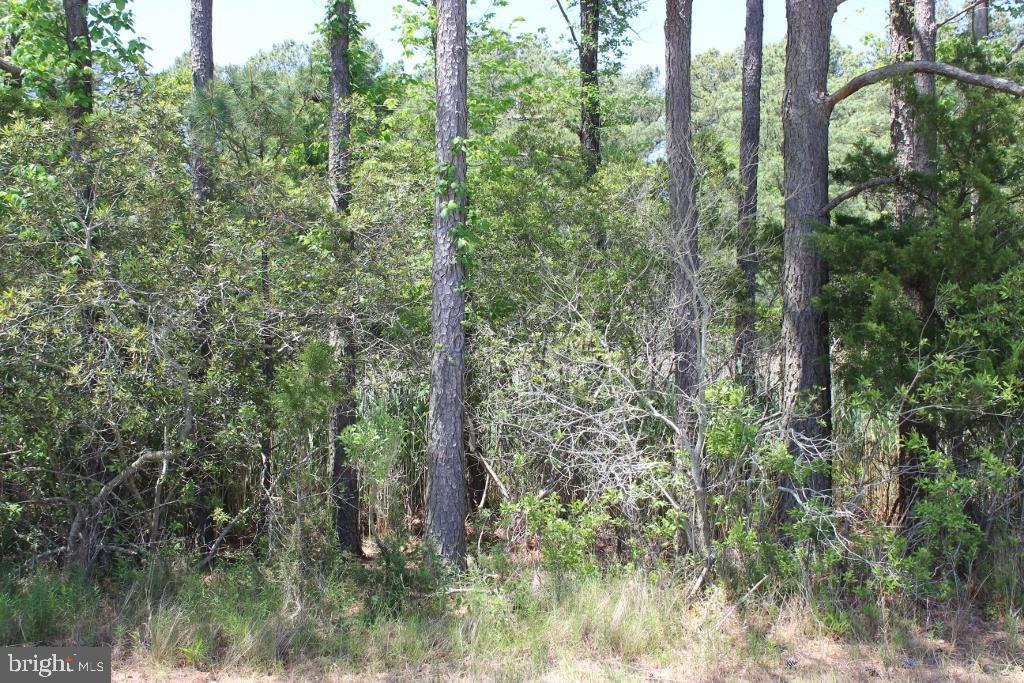 1055 BROADSIDE DR Property Photo 1