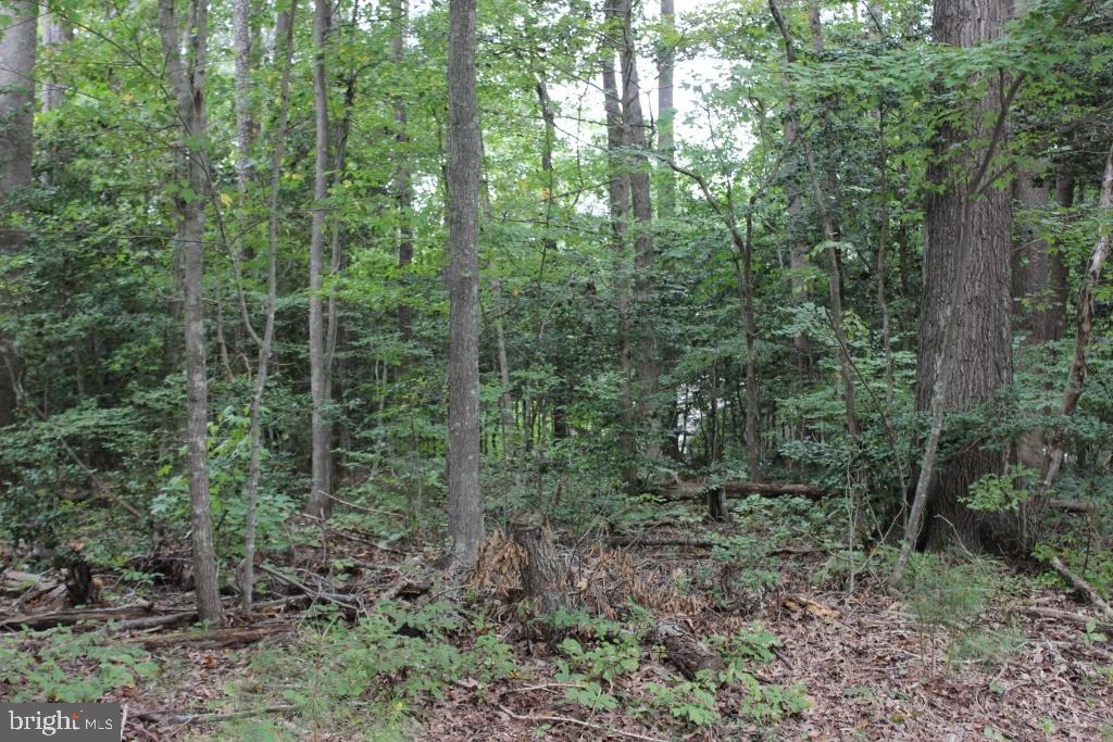 79 PIECES OF EIGHT CT Property Photo 1