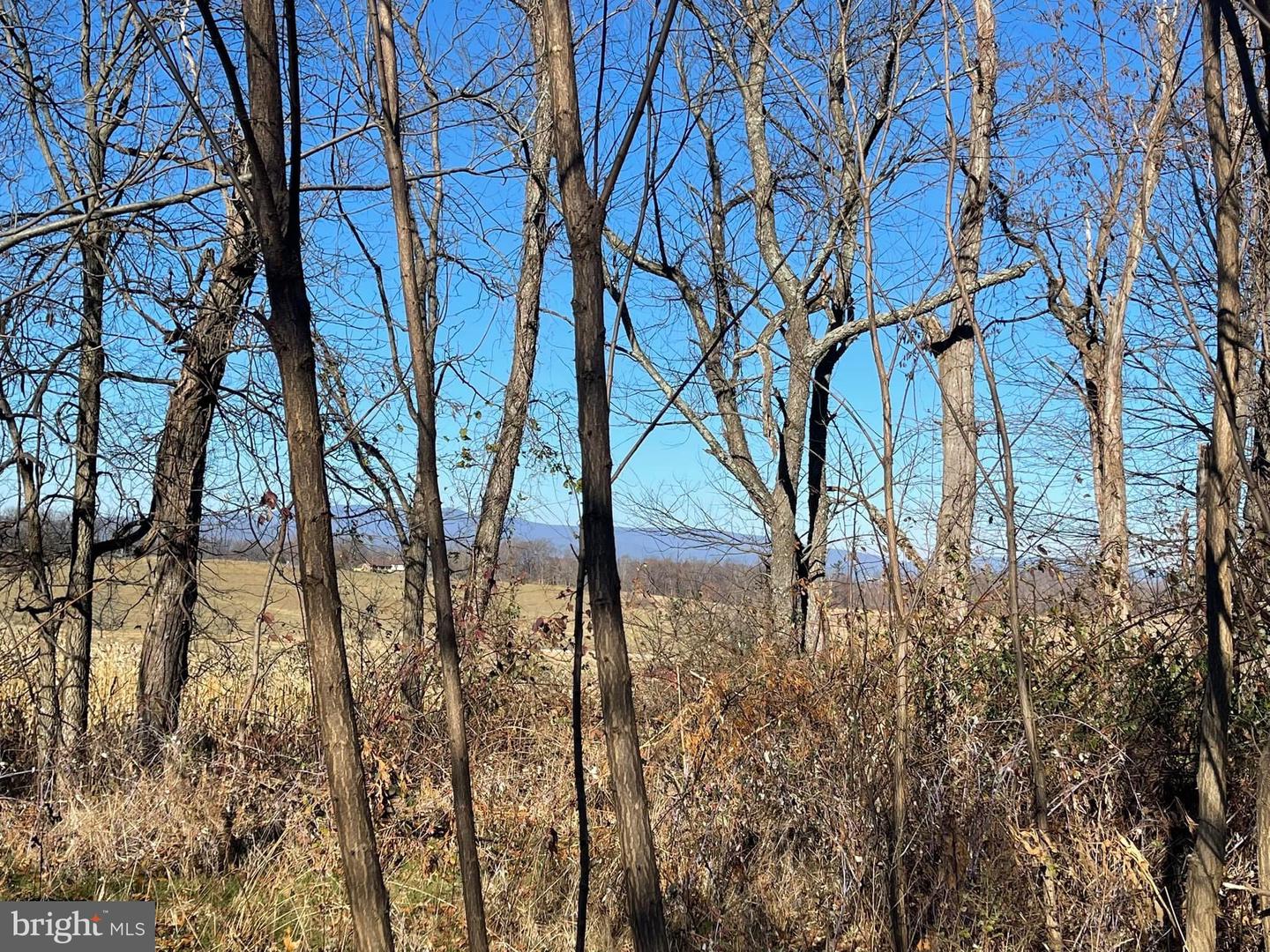 00 Chestnut Ridge Rd Property Photo 1