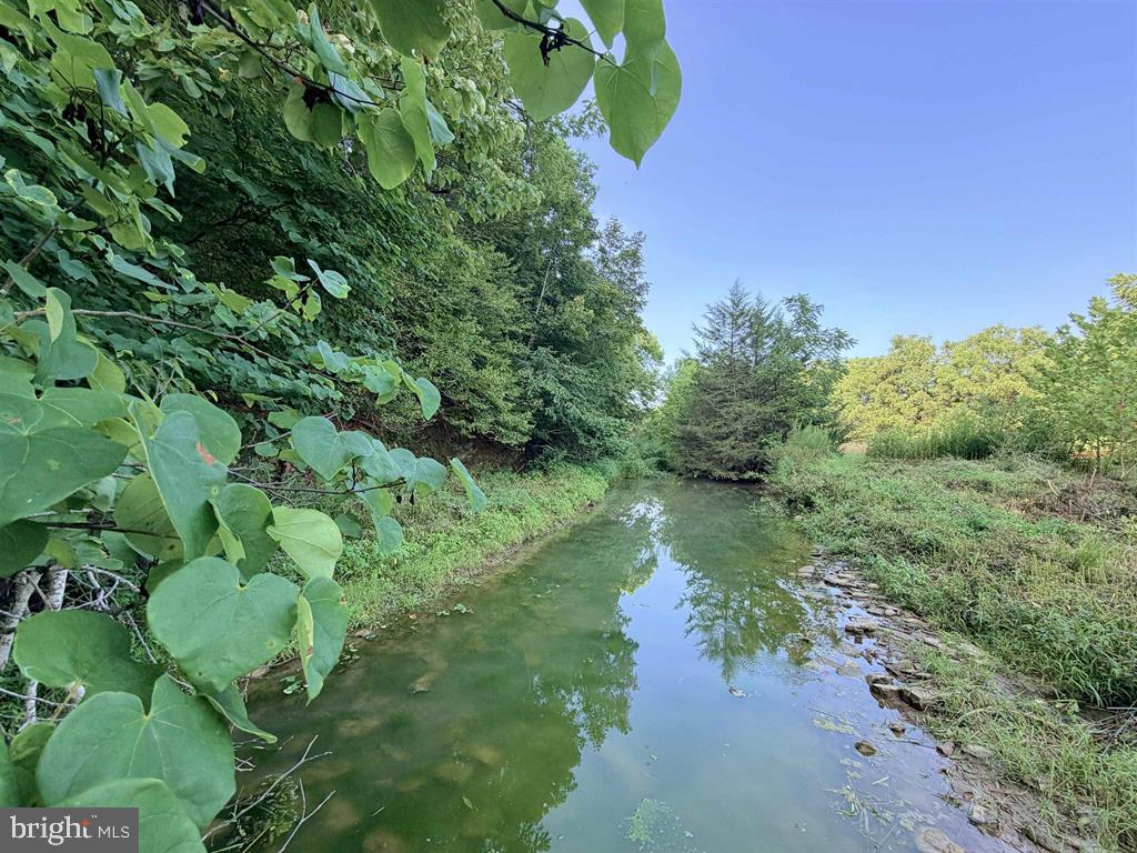 144 Naked Creek Hollow Road Property Photo 4