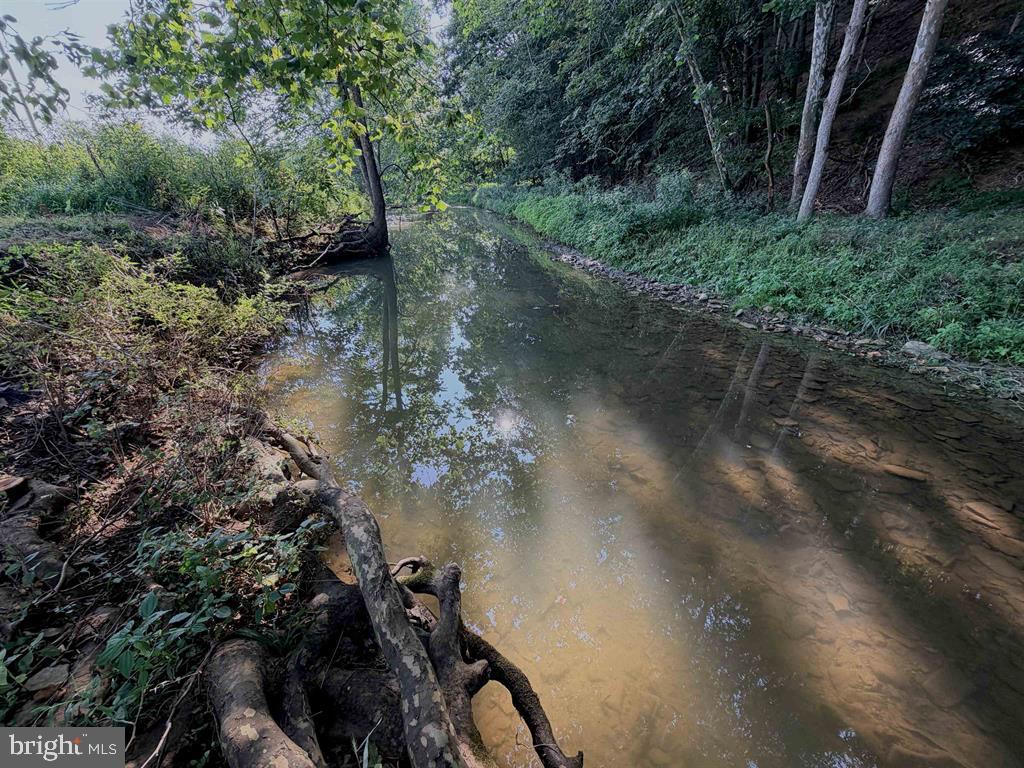 144 Naked Creek Hollow Road Property Photo 6
