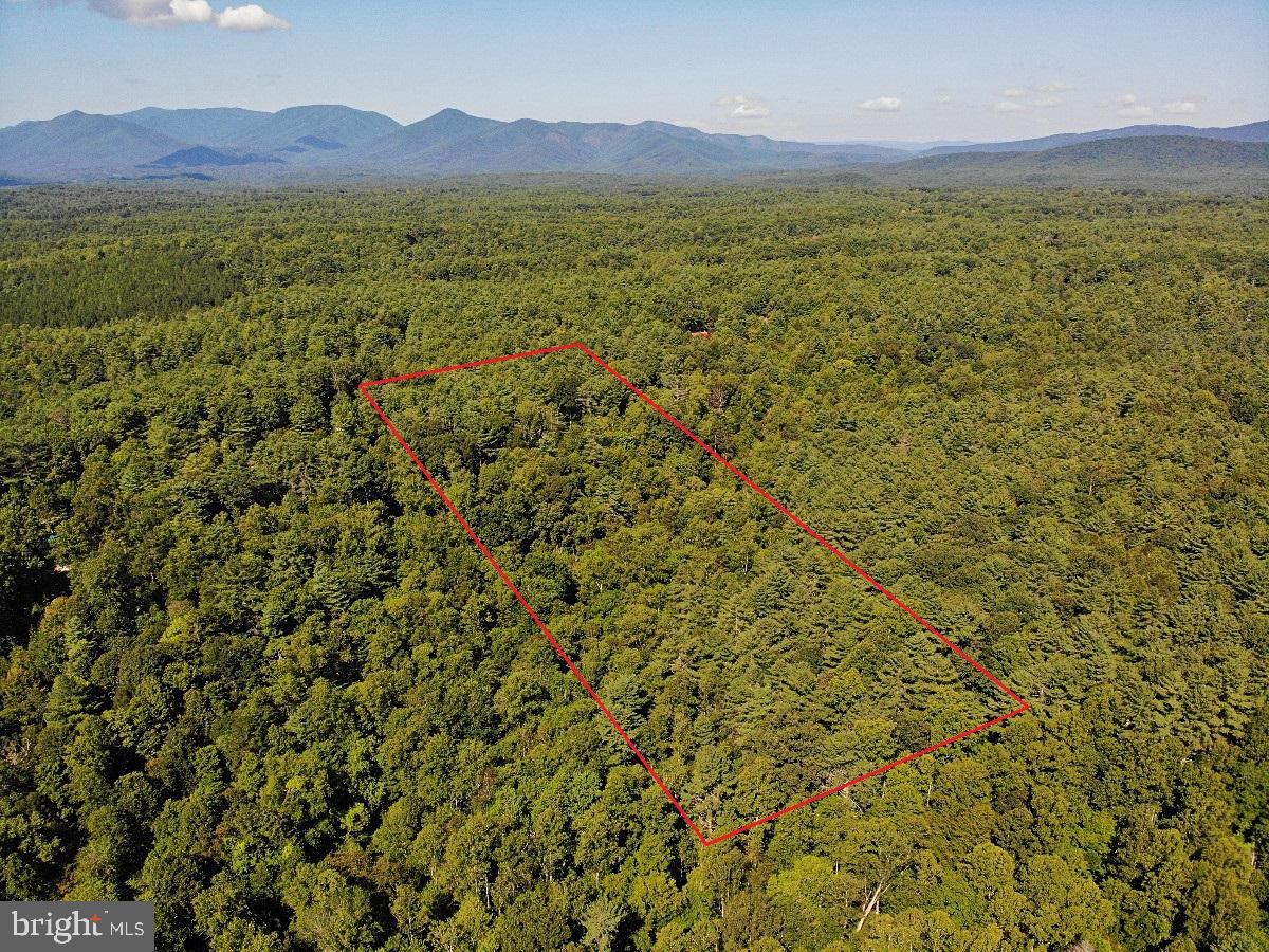 0 Blue Ridge Ln Property Photo 9