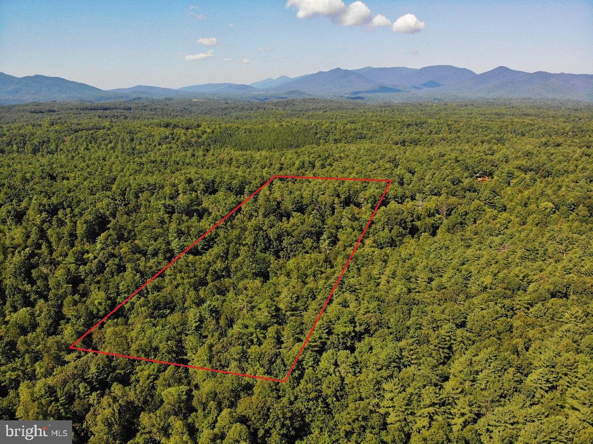 0 Blue Ridge Ln Property Photo 11