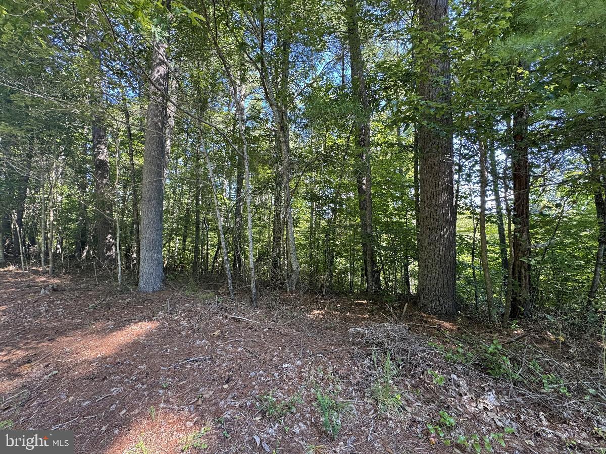 0 Blue Ridge Ln Property Photo 15