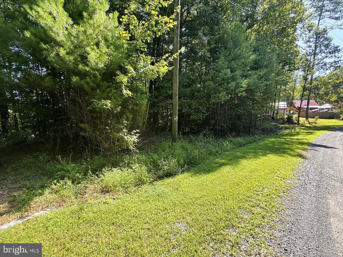 0 Blue Ridge Ln Property Photo 16