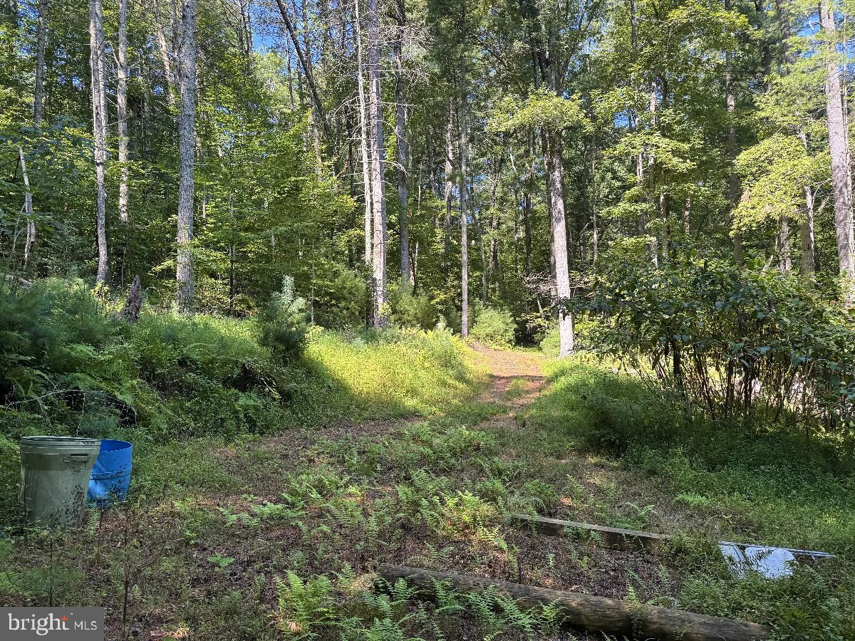 0 Blue Ridge Ln Property Photo 21