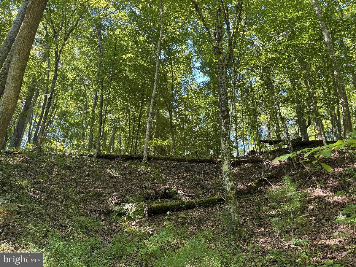 0 Blue Ridge Ln Property Photo 25