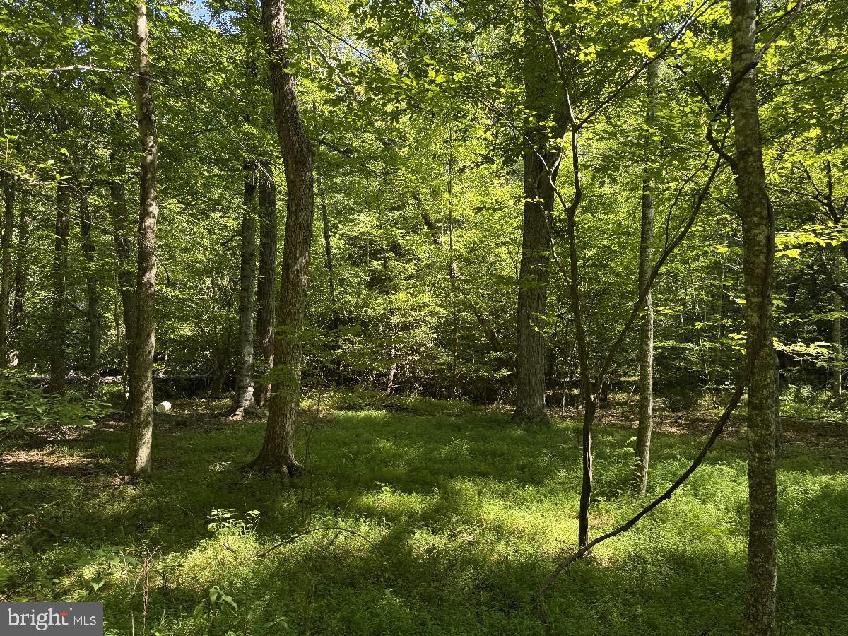 0 Blue Ridge Ln Property Photo 26