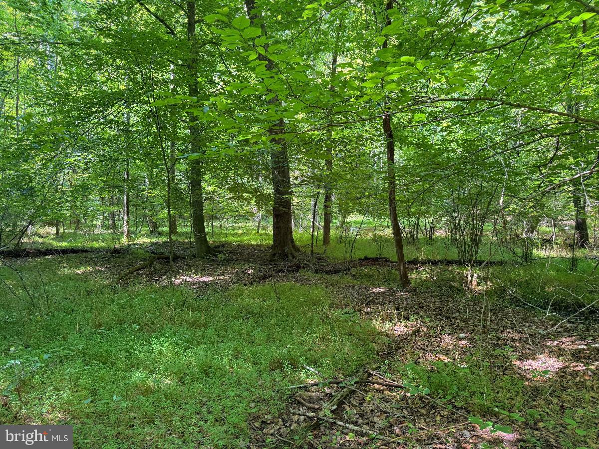 0 Blue Ridge Ln Property Photo 28