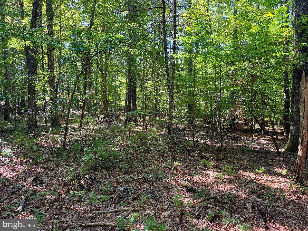 0 Blue Ridge Ln Property Photo 29