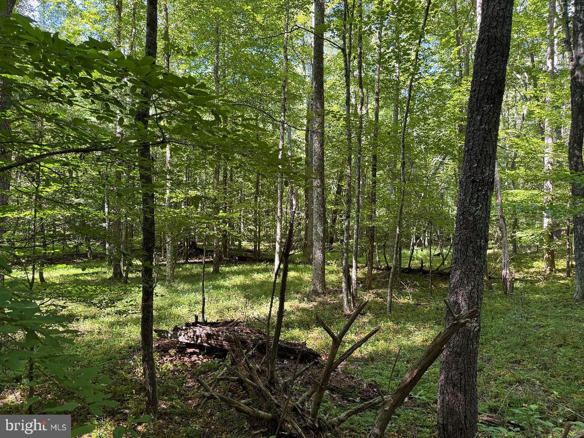0 Blue Ridge Ln Property Photo 31