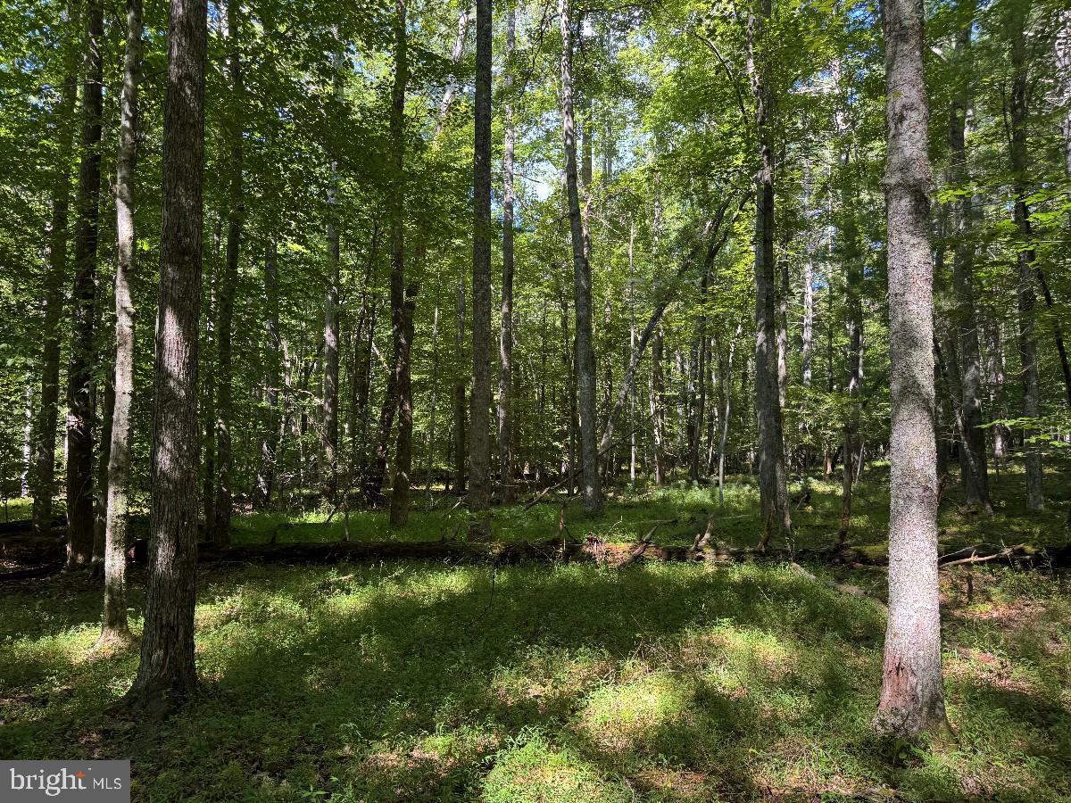 0 Blue Ridge Ln Property Photo 33