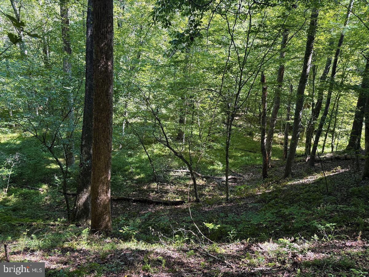 0 Blue Ridge Ln Property Photo 34