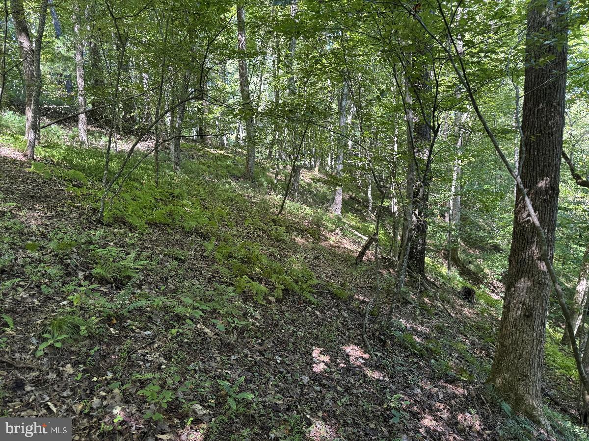 0 Blue Ridge Ln Property Photo 35