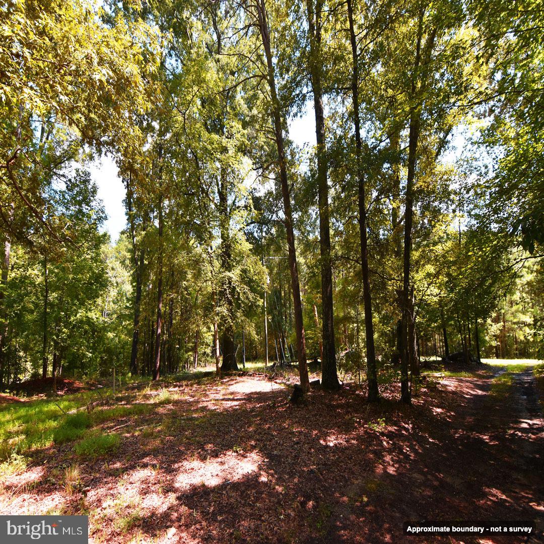 Mount Olive Ln Property Photo 4