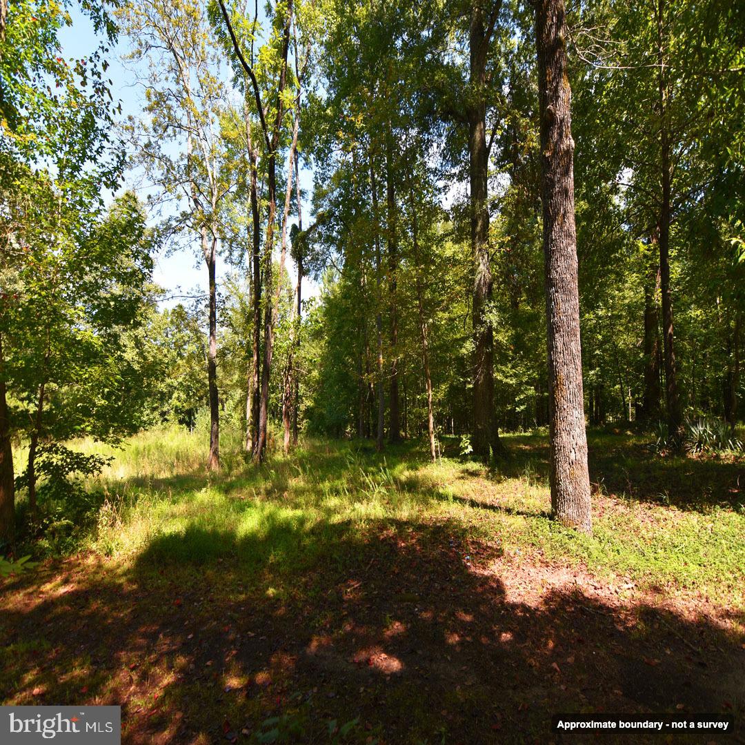 Mount Olive Ln Property Photo 5