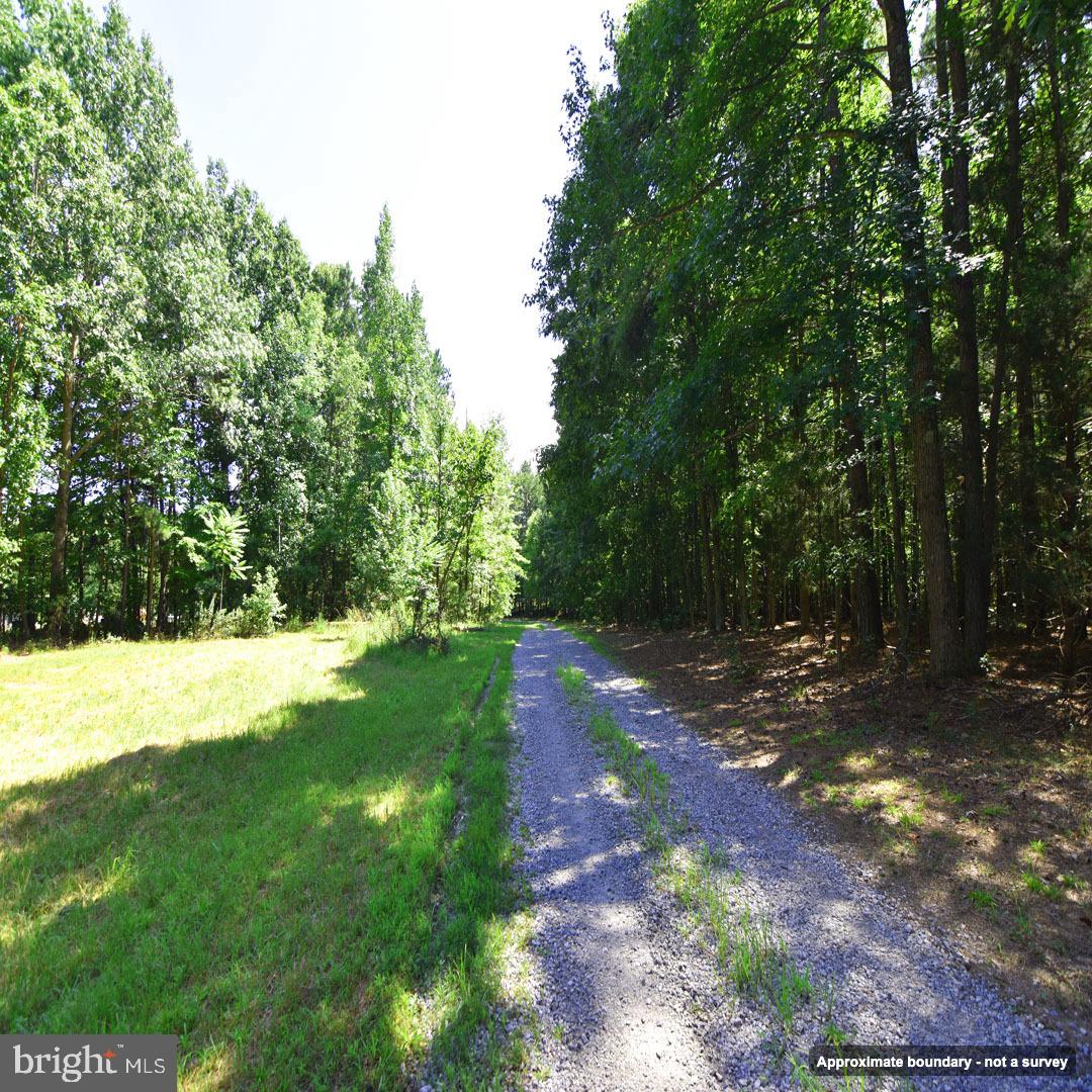 Mount Olive Ln Property Photo 9