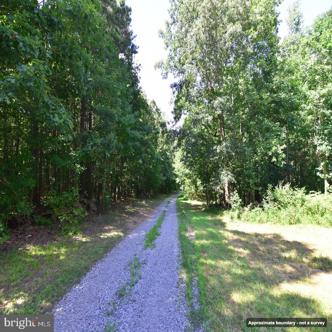 Mount Olive Ln Property Photo 10
