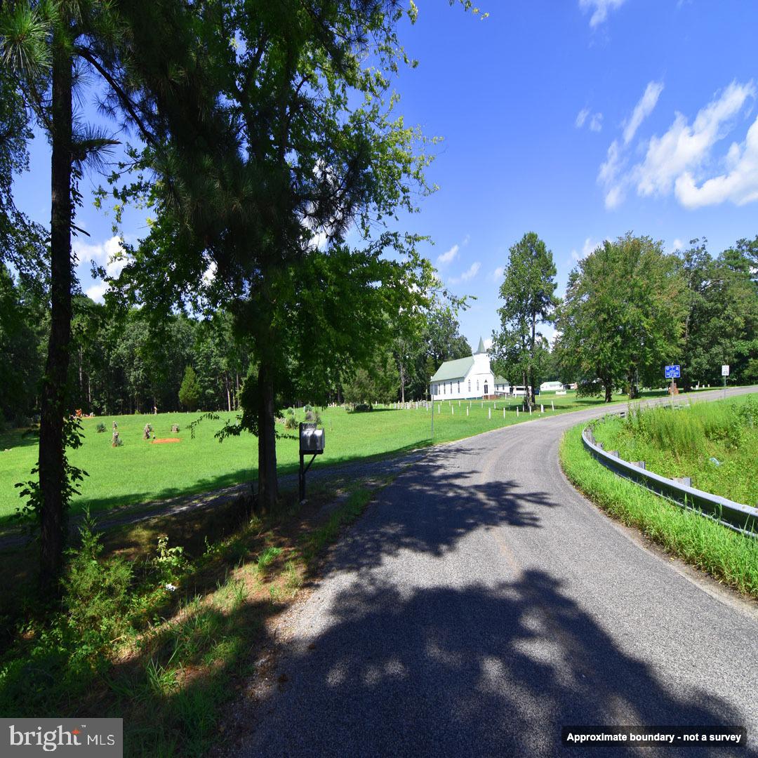 Mount Olive Ln Property Photo 11