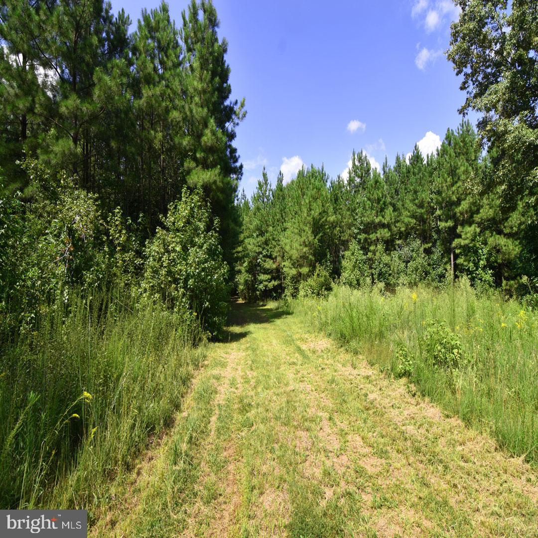 Mount Olive Ln Property Photo 12