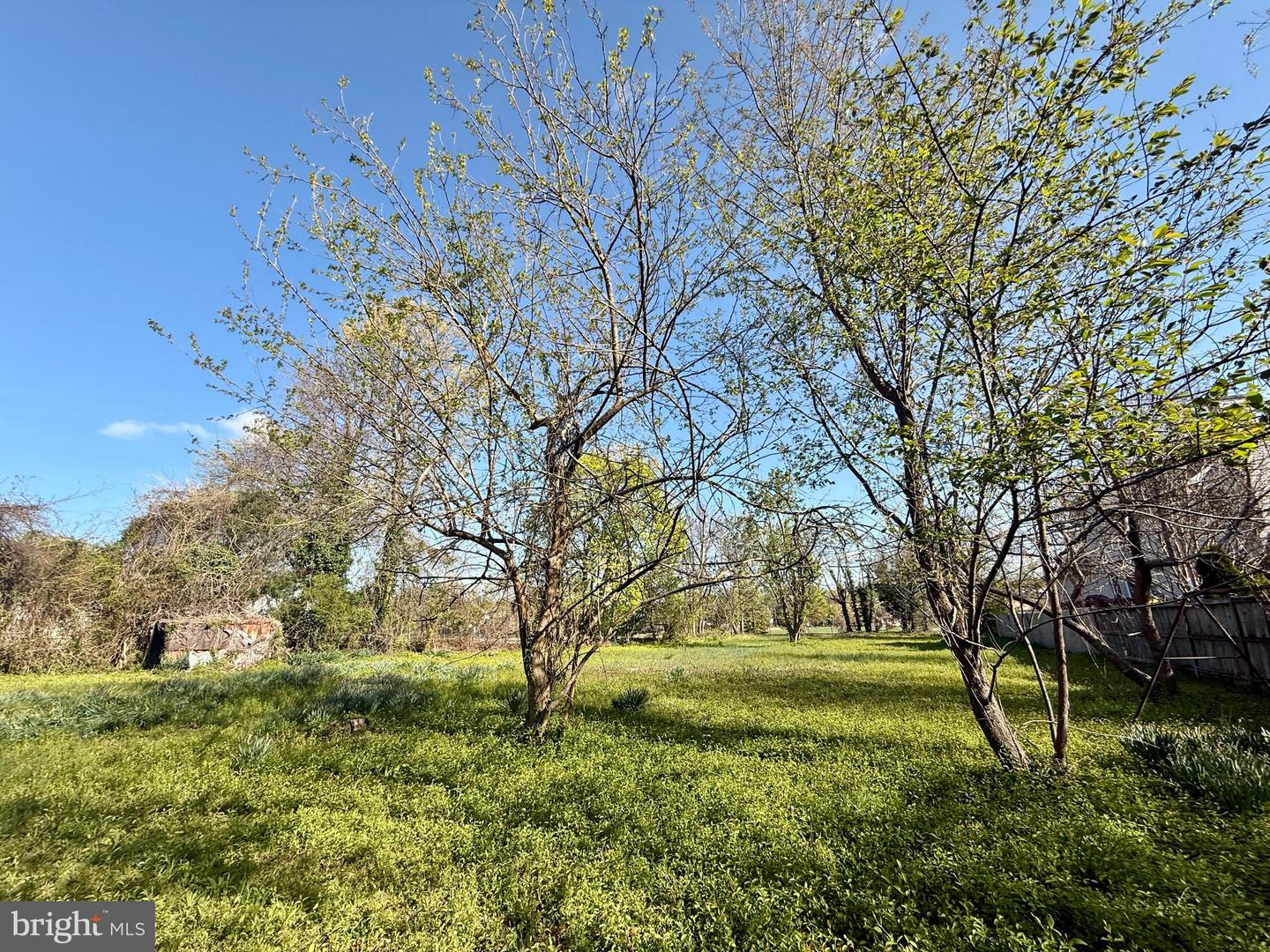 5941 4th St S Property Photo 10