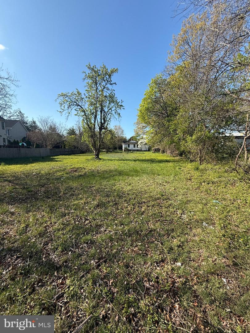 5941 4th St S Property Photo 18