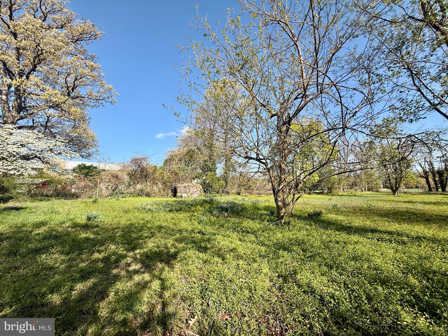 5941 4th St S Property Photo 11