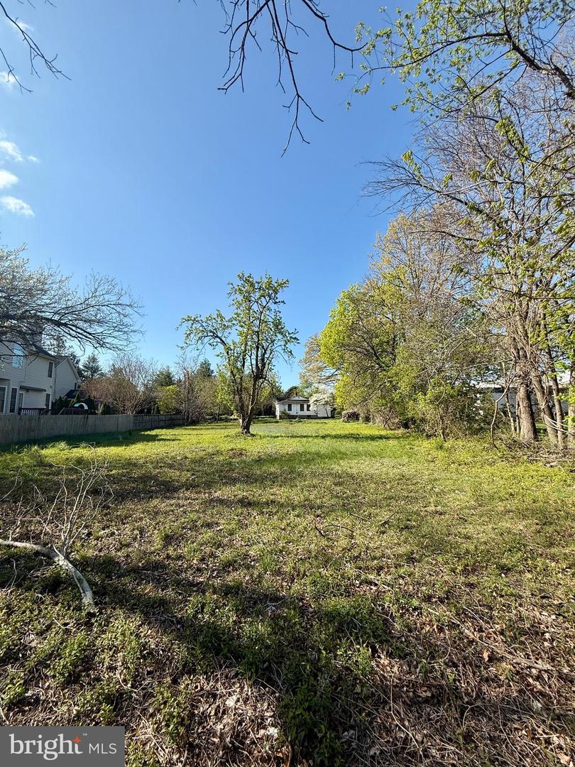 5941 4th St S Property Photo 14