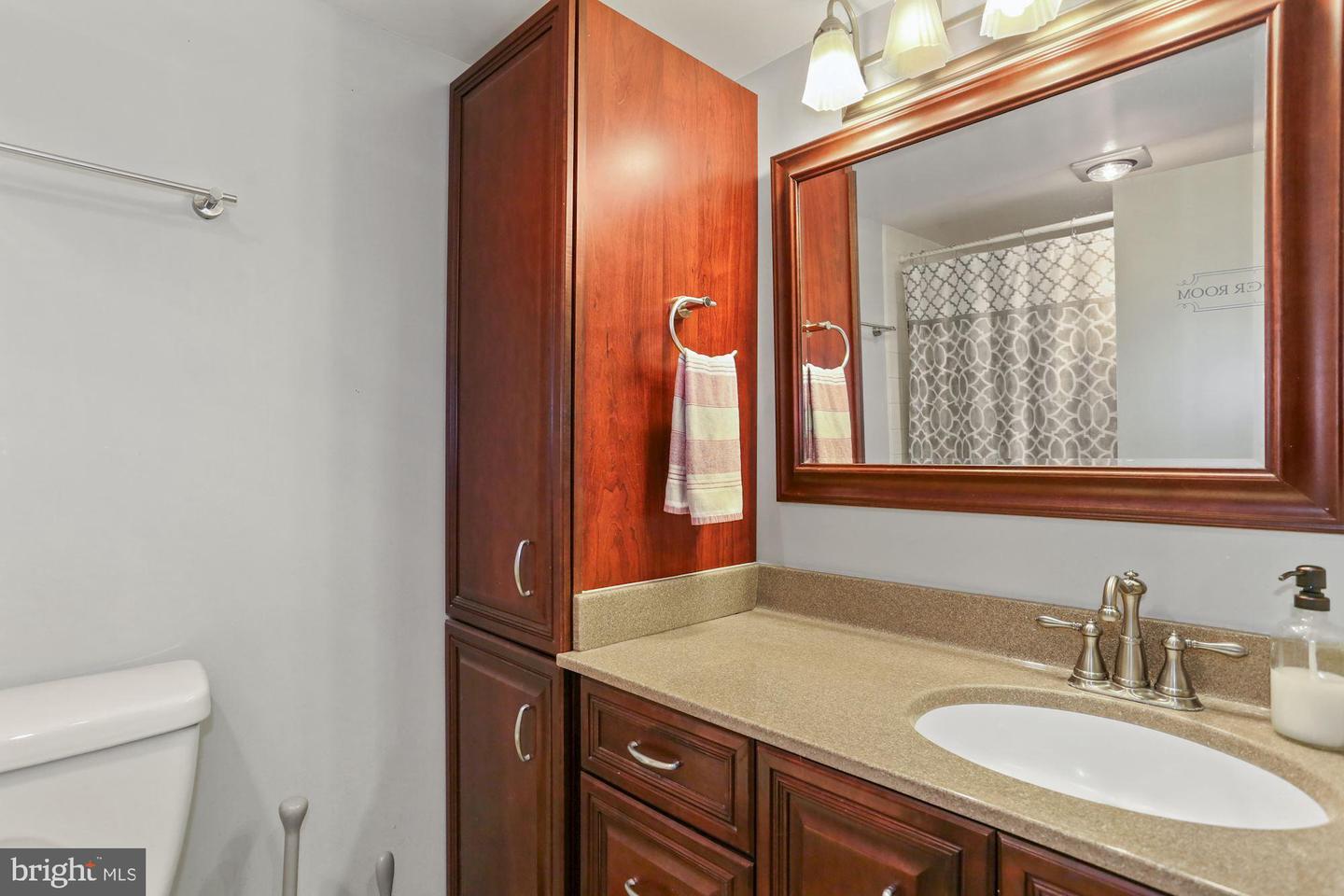 5300 Columbia Pike #1008 Property Photo 32
