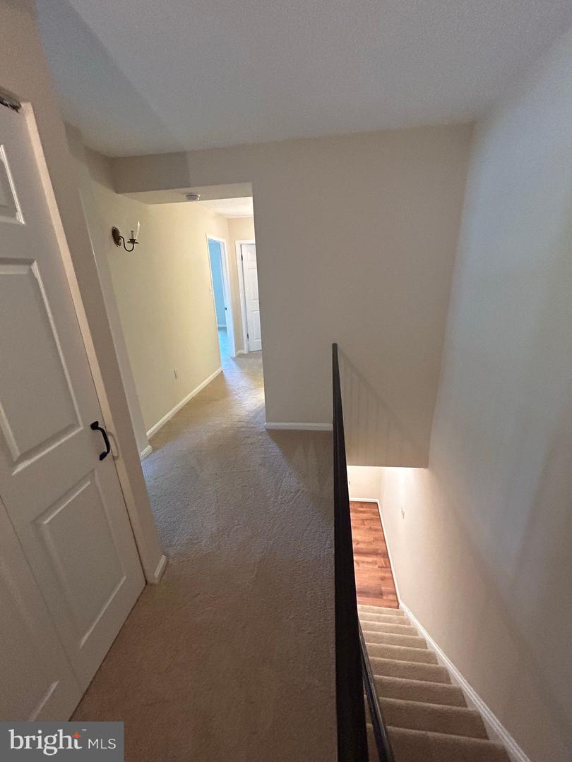 941 S Rolfe St #1 Property Photo 2