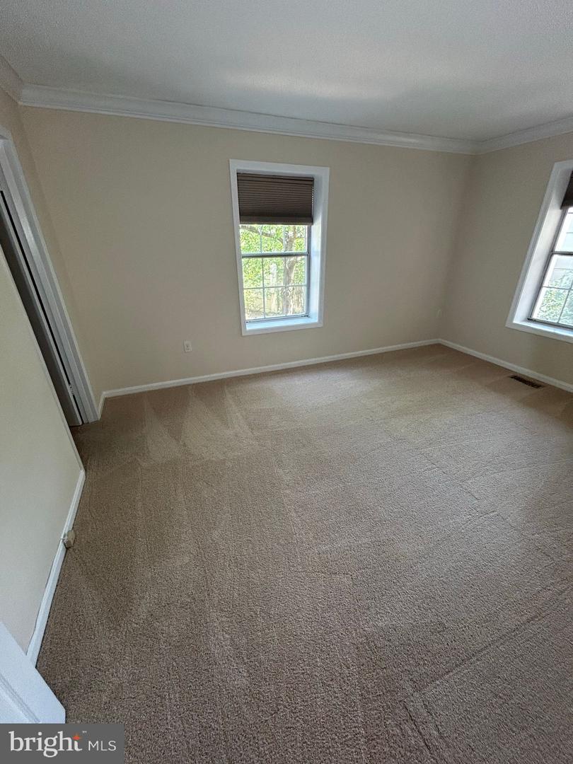 941 S Rolfe St #1 Property Photo 4
