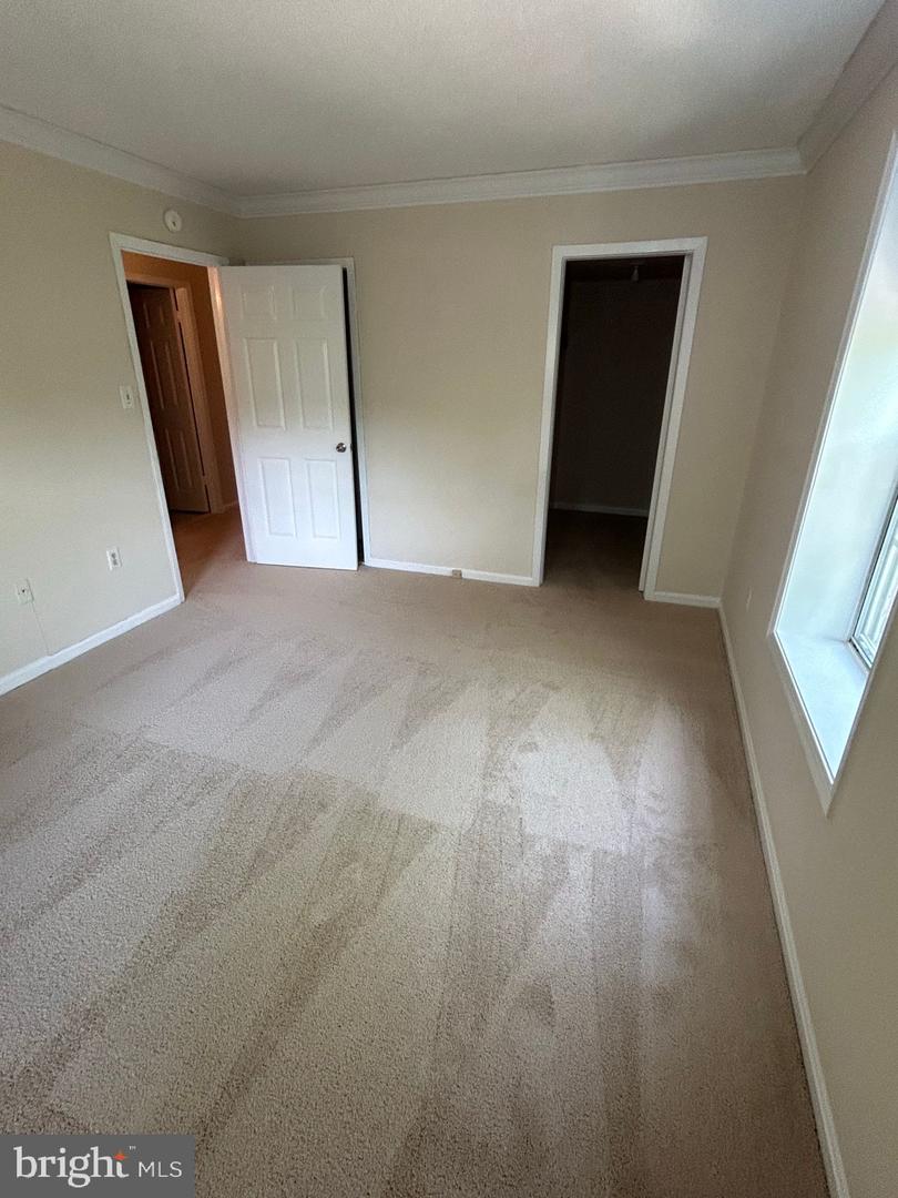 941 S Rolfe St #1 Property Photo 5