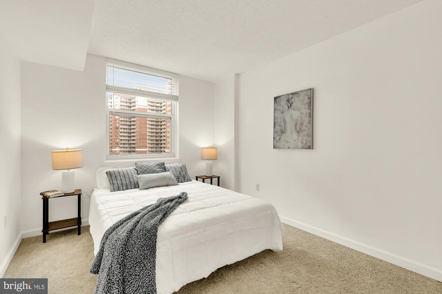 880 N Pollard St #801 Property Photo 26