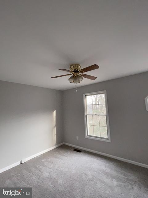 5003 9th St S Property Photo 12
