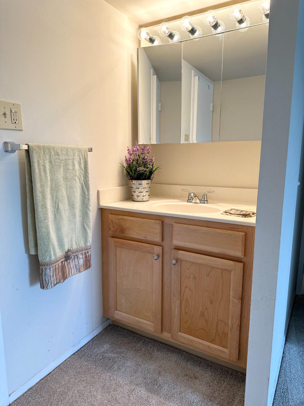 4500 S Four Mile Run Dr #424 Property Photo 34