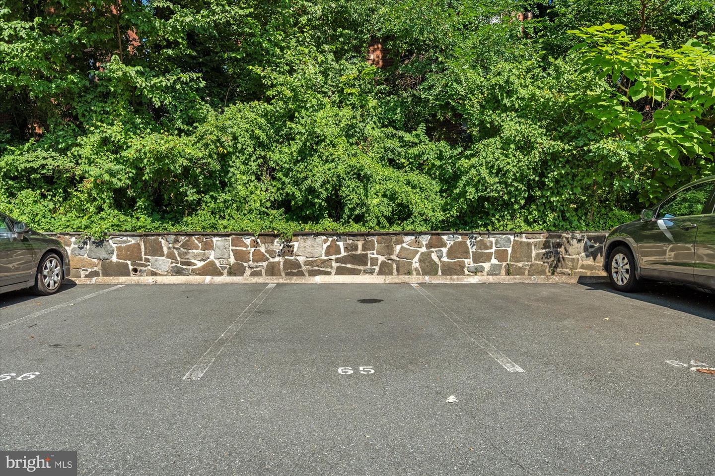 1730 Arlington Blvd #4 Property Photo 35