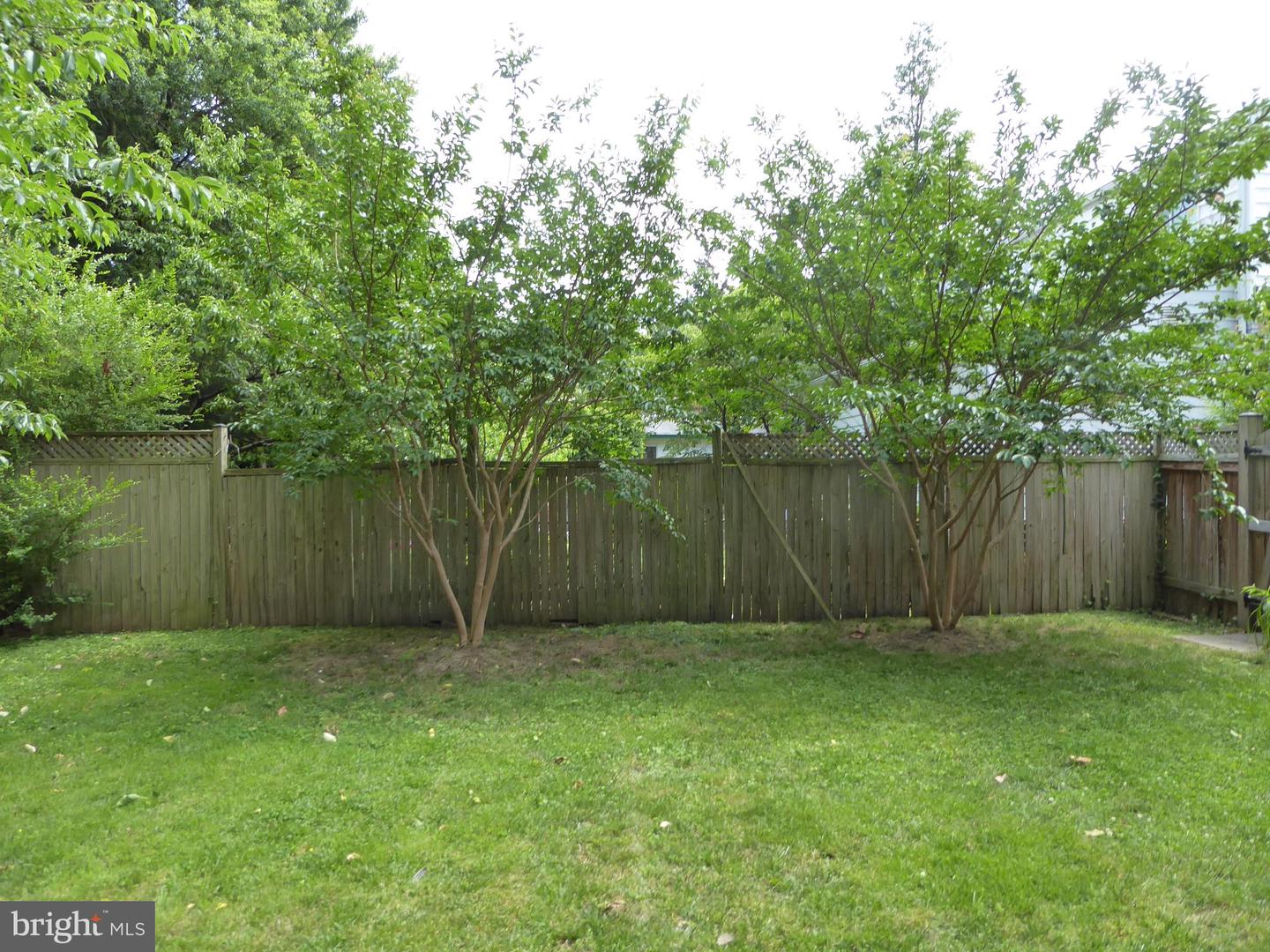 323 S Adams St Property Photo 40