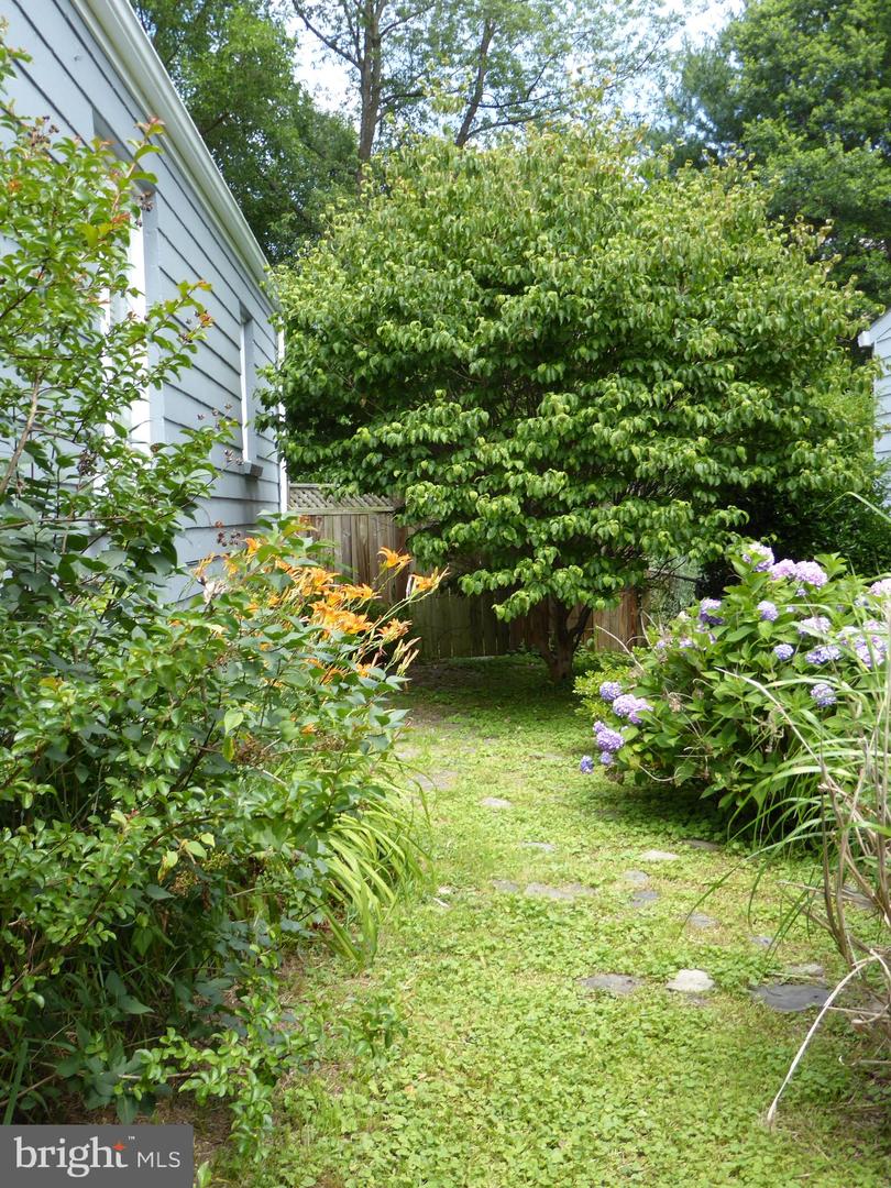 323 S Adams St Property Photo 42