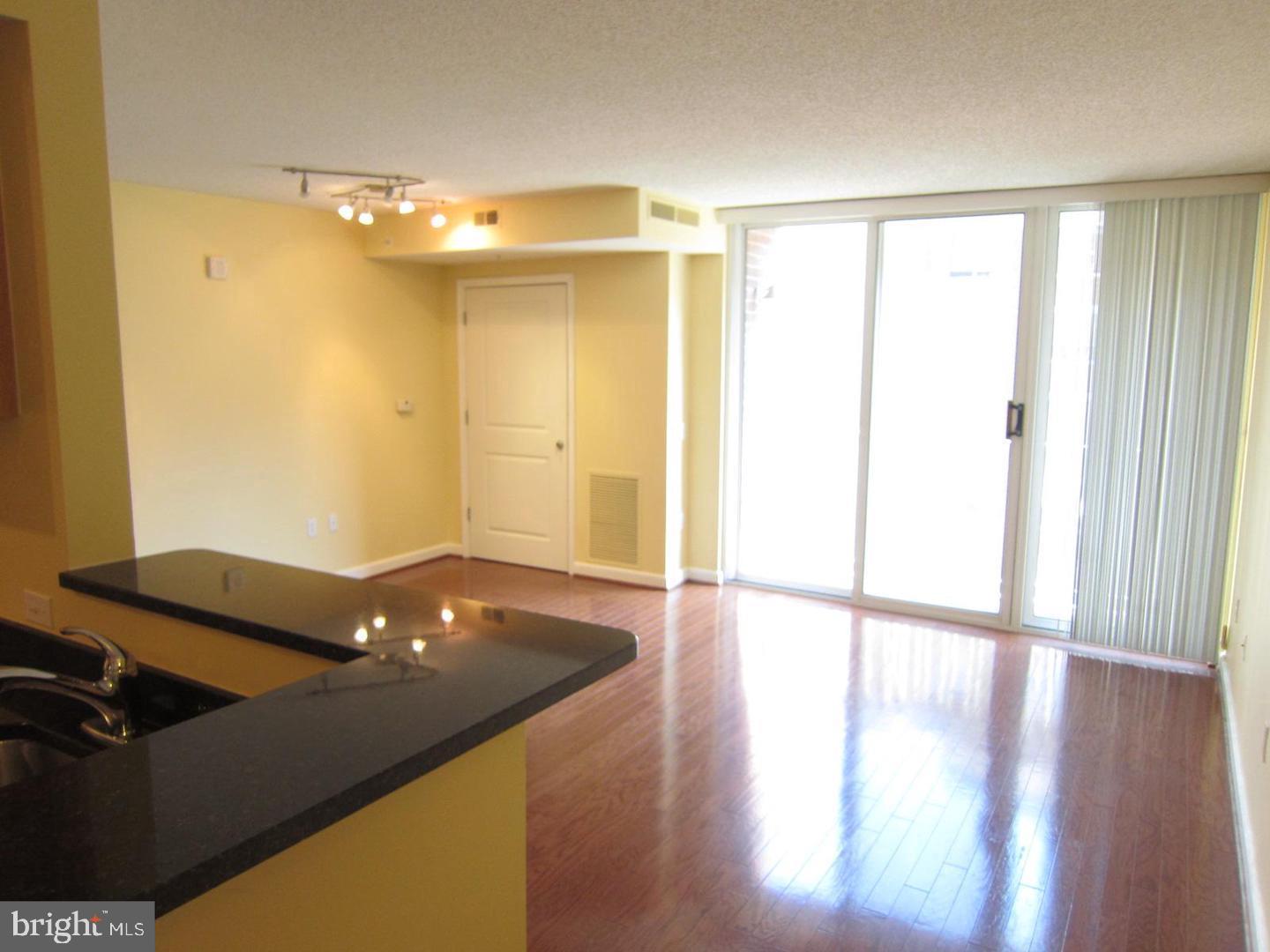 880 N Pollard St #704 Property Photo 3