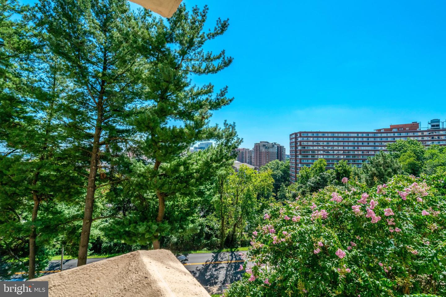 1101 S Arlington Ridge Rd #304 Property Photo 46