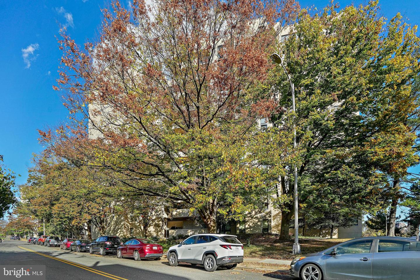 1101 S Arlington Ridge Rd #304 Property Photo 63
