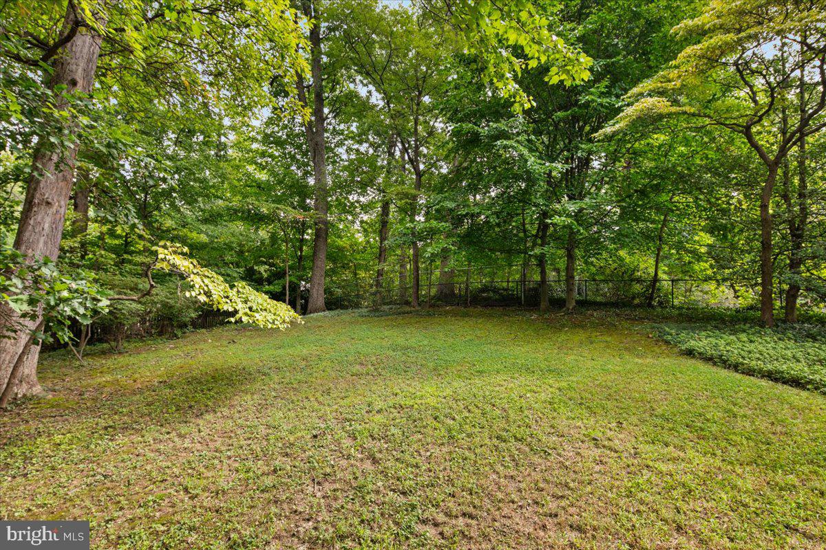 2425 N Taylor St Property Photo 42