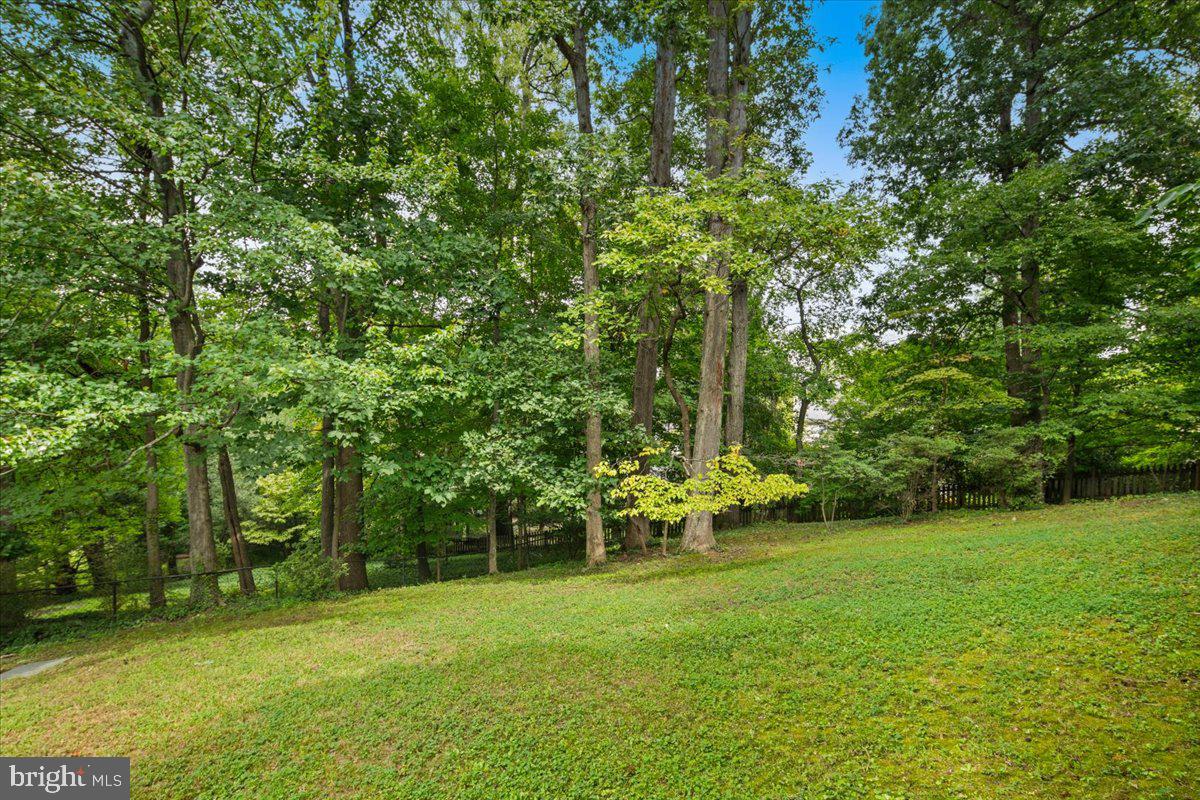 2425 N Taylor St Property Photo 43