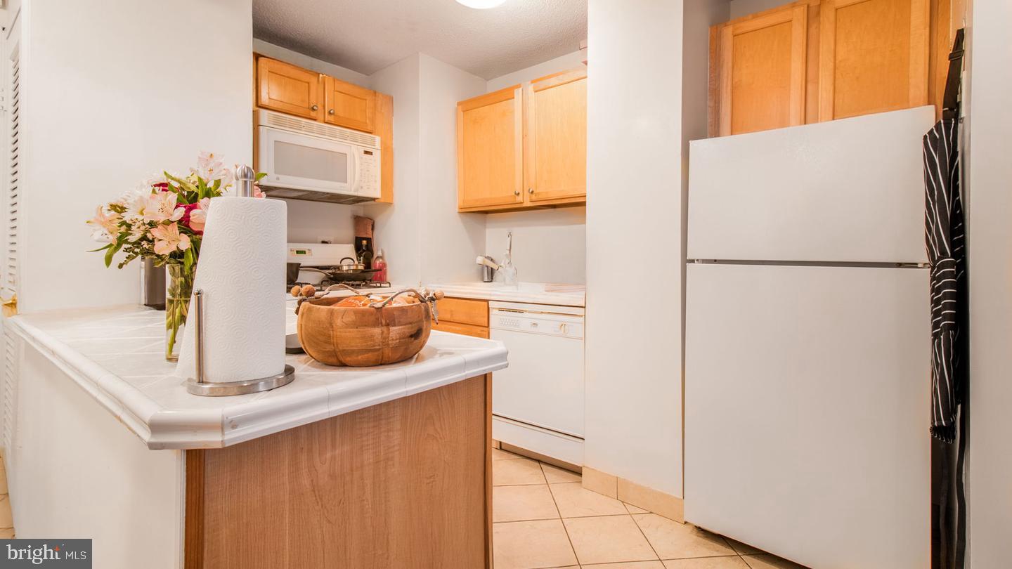 2030 N Adams St #1109 Property Photo 7