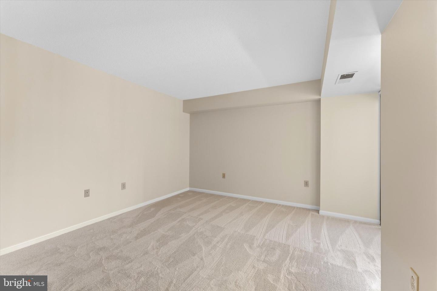 1301 N Courthouse Rd #1216 Property Photo 14